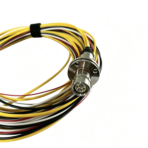 Multimode 10 Gigabit and Gigabit Fiber Optics