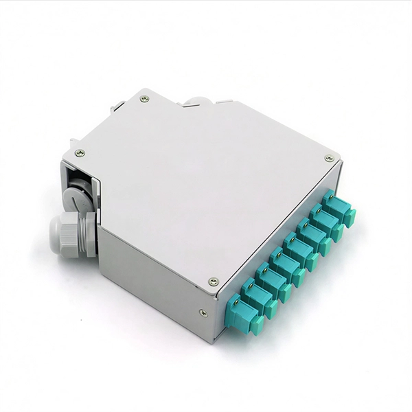 What is the HS optical module used for 