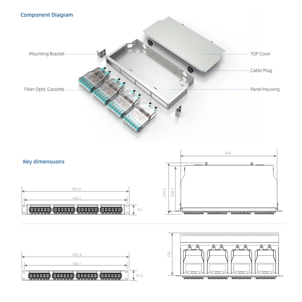 Fiber optic wired router connection speed