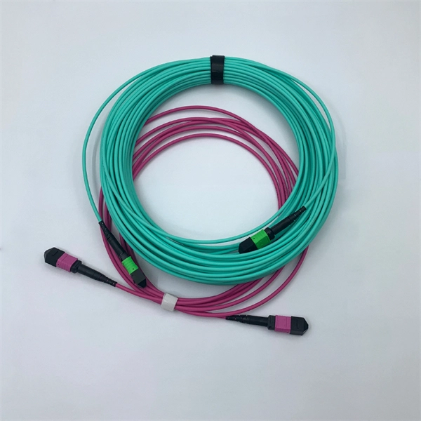 Fiber to the Home Single-Mode Fiber Quick Connector