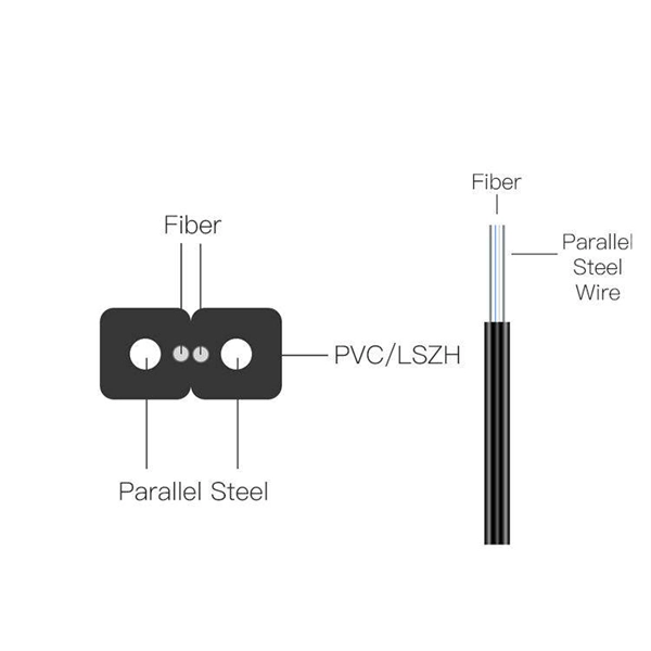 Fiber optic module 10g